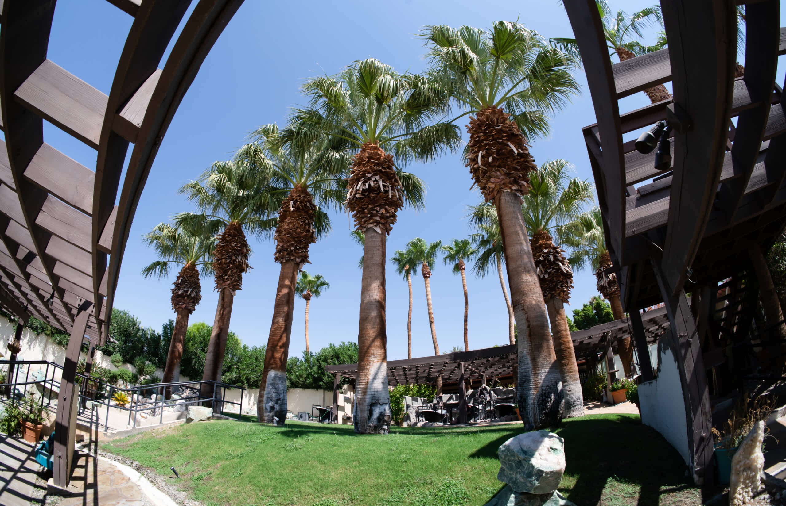 Living Longer Recovery