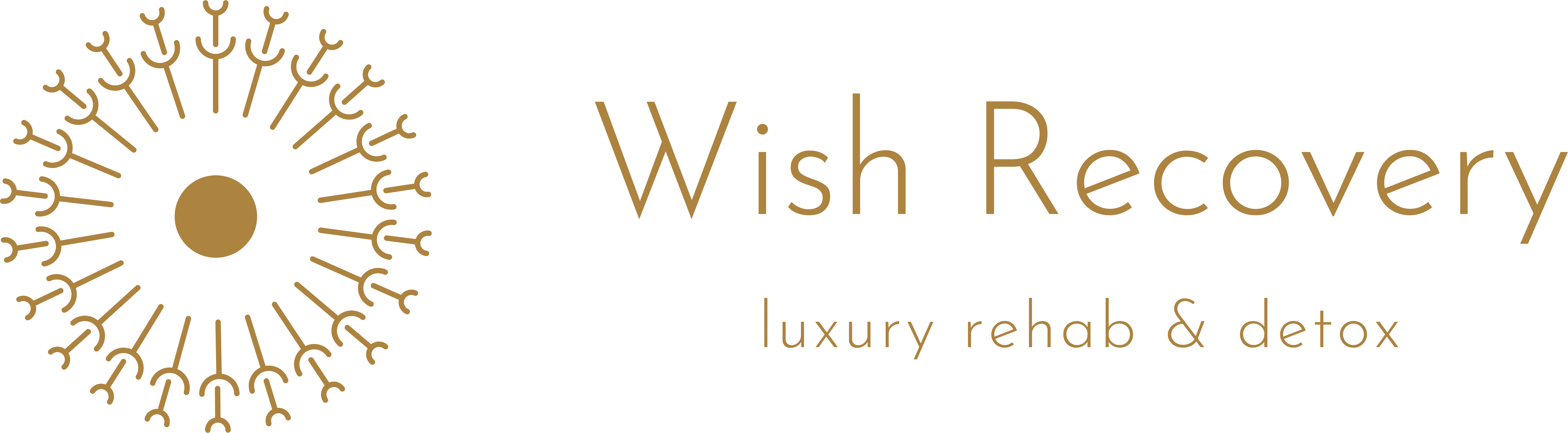 Wish Recovery