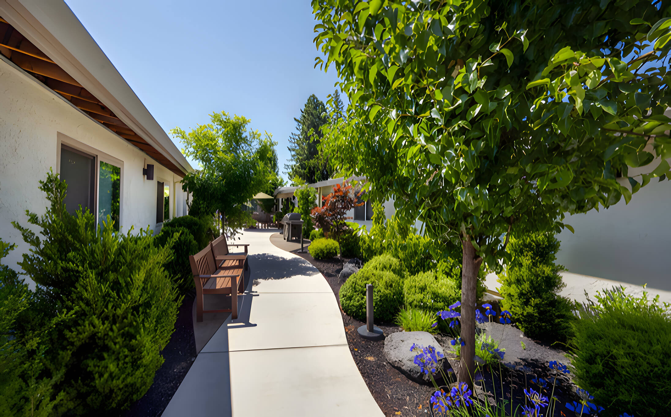 Psynergy Vista de Robles