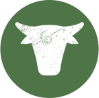 How we care icon - 04