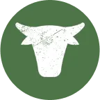 How we care icon - 04
