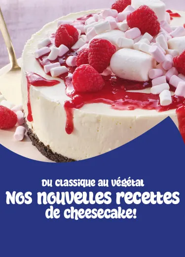 new cheesecake recipes