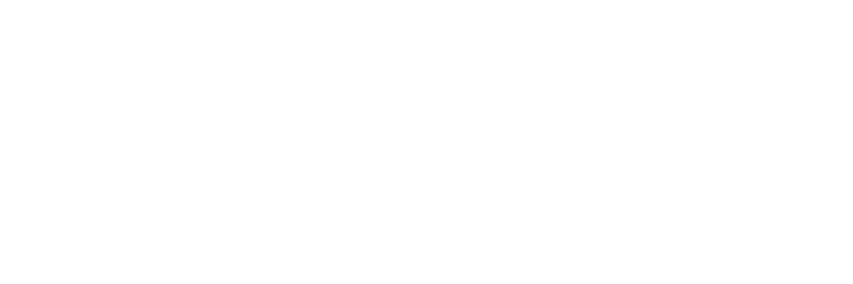 Slush Logo