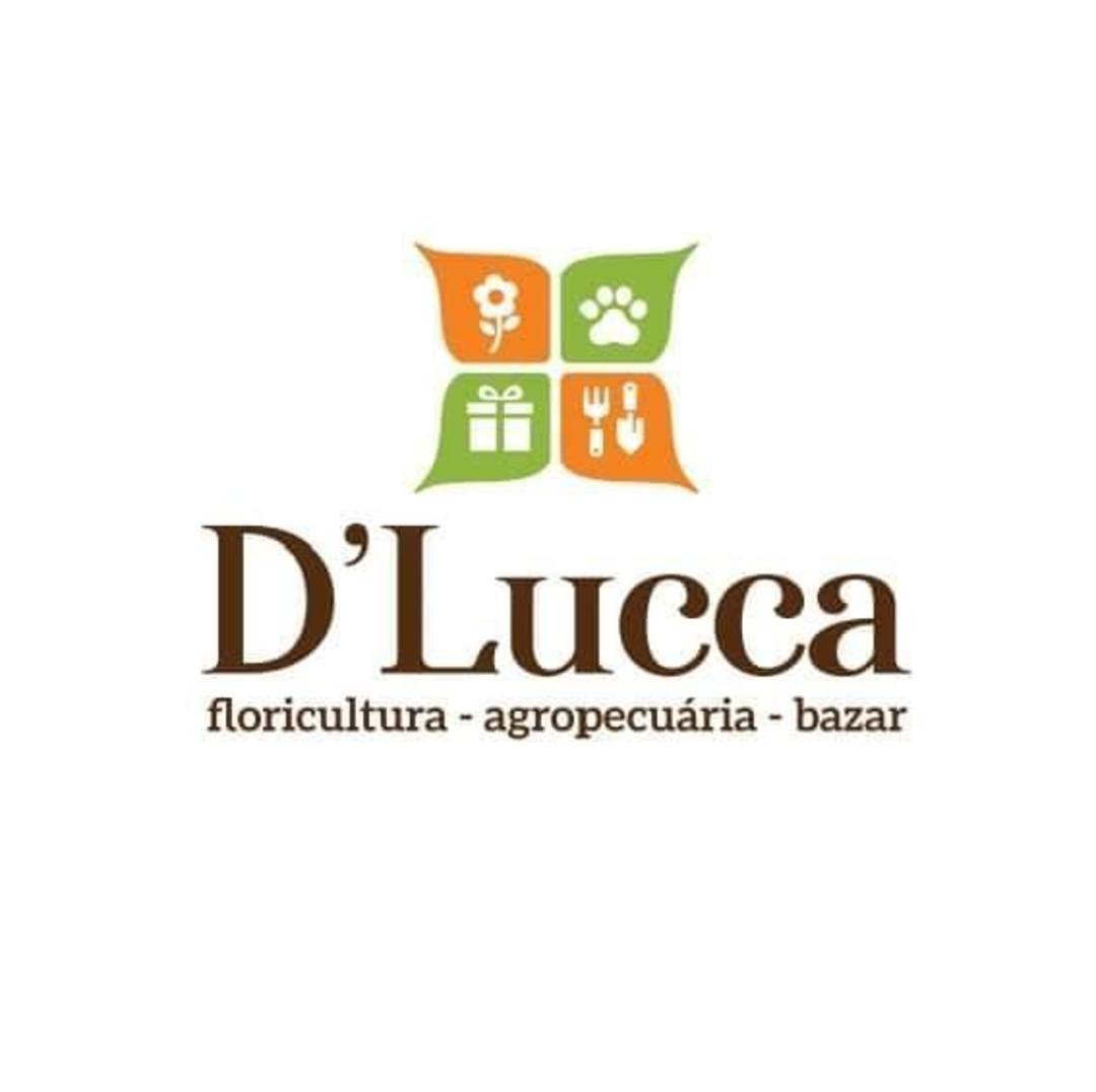Facebook_DLucca