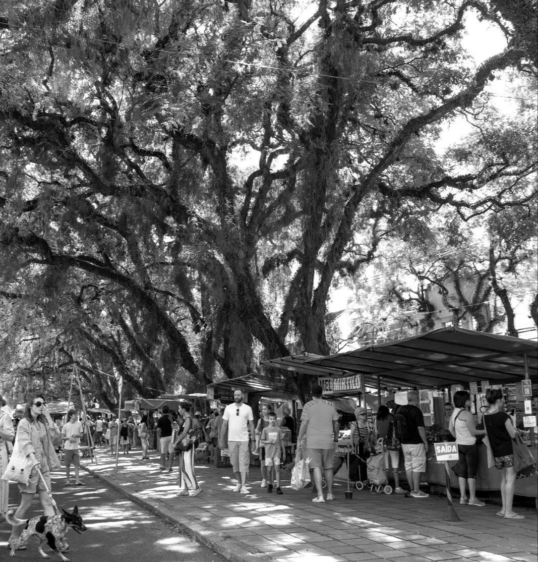 GB Feira Ecológica do Bom Fim12 copiar