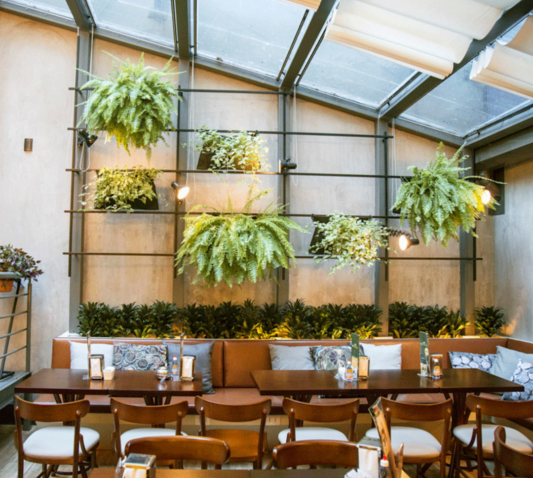 Café à Brasileira Divulgação