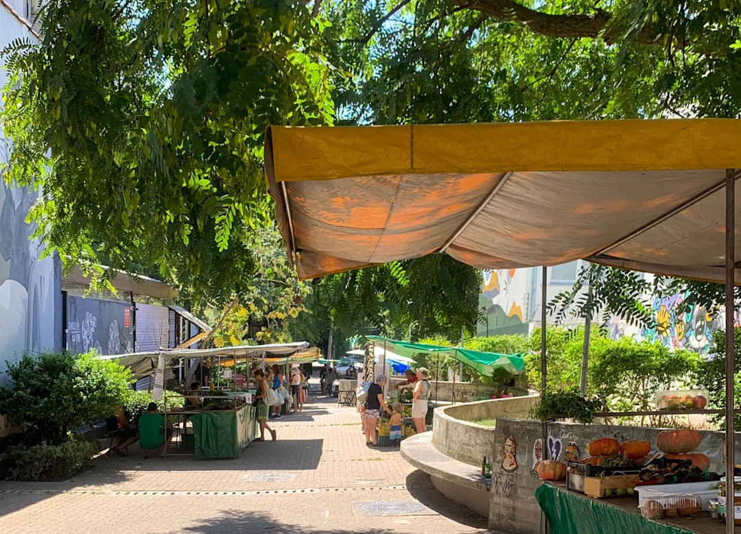 GB Feira Auxiliadora6