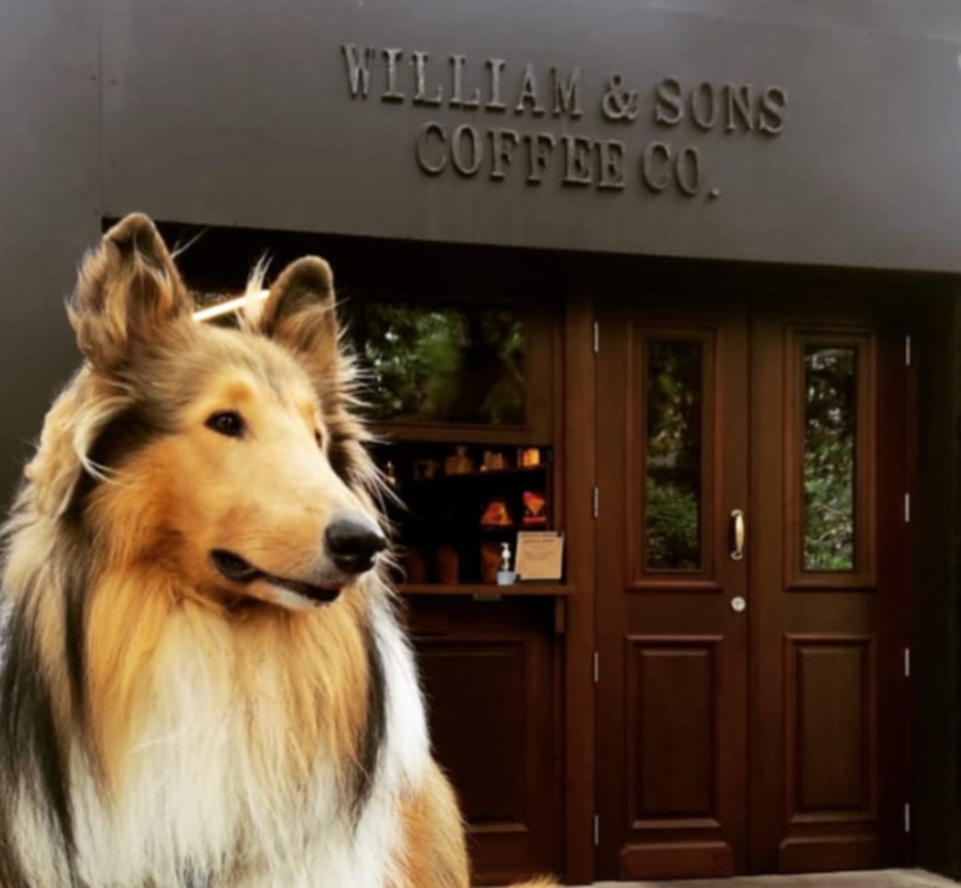 Captura de Tela 2023-03-07 às 09.25.26