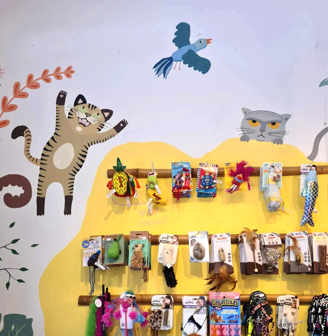 Instagram_Ronroninha