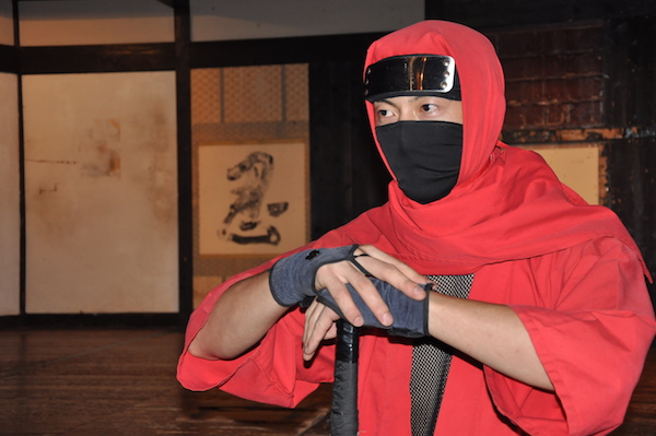 嬉野に来てからフケが止まった 〜肥前夢街道にいる謎の忍び「たじ丸