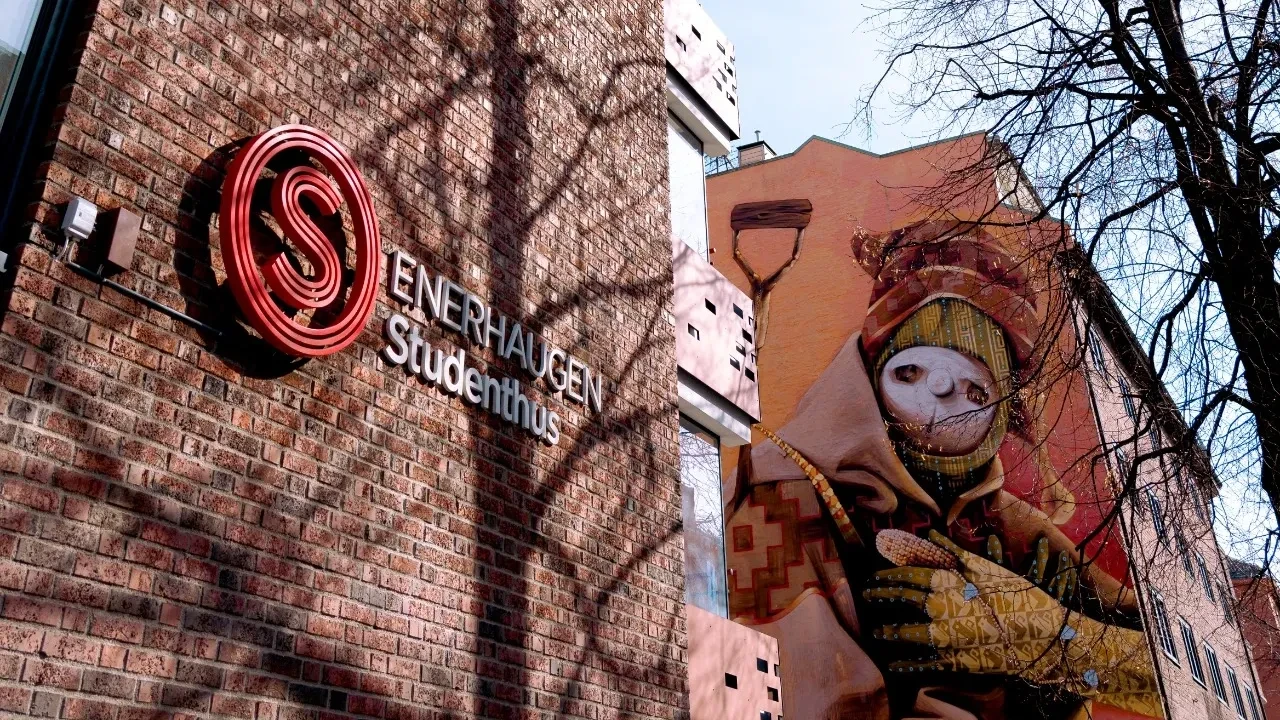 Enerhaugen 6