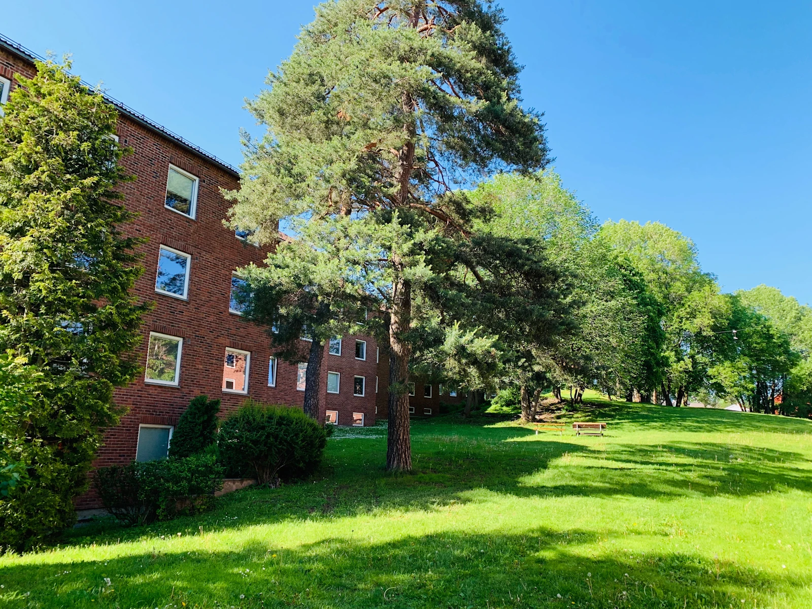 Sogn Studentby 5