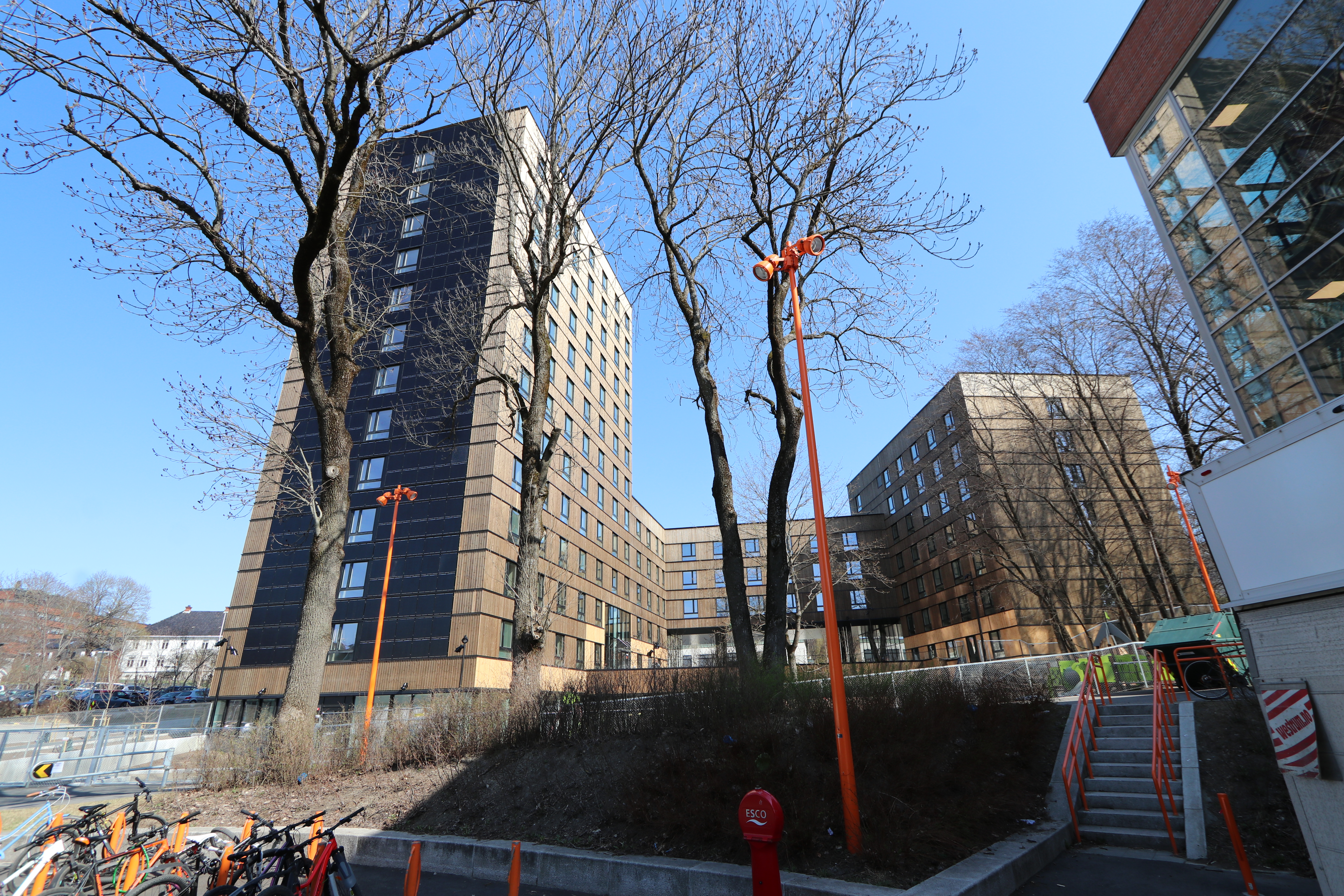 A picture of Blindern Student Housing. The picture shows a tall building with solar panel on one side next to a shorter one. The buildings are made of brown wood. In the foreground of the picture, there are tall trees.