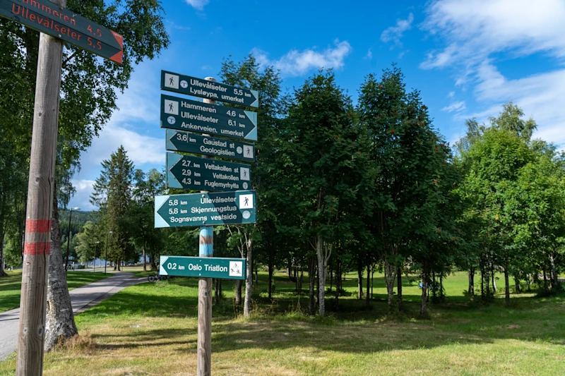 Kringsjå, Nordberg og Sogn