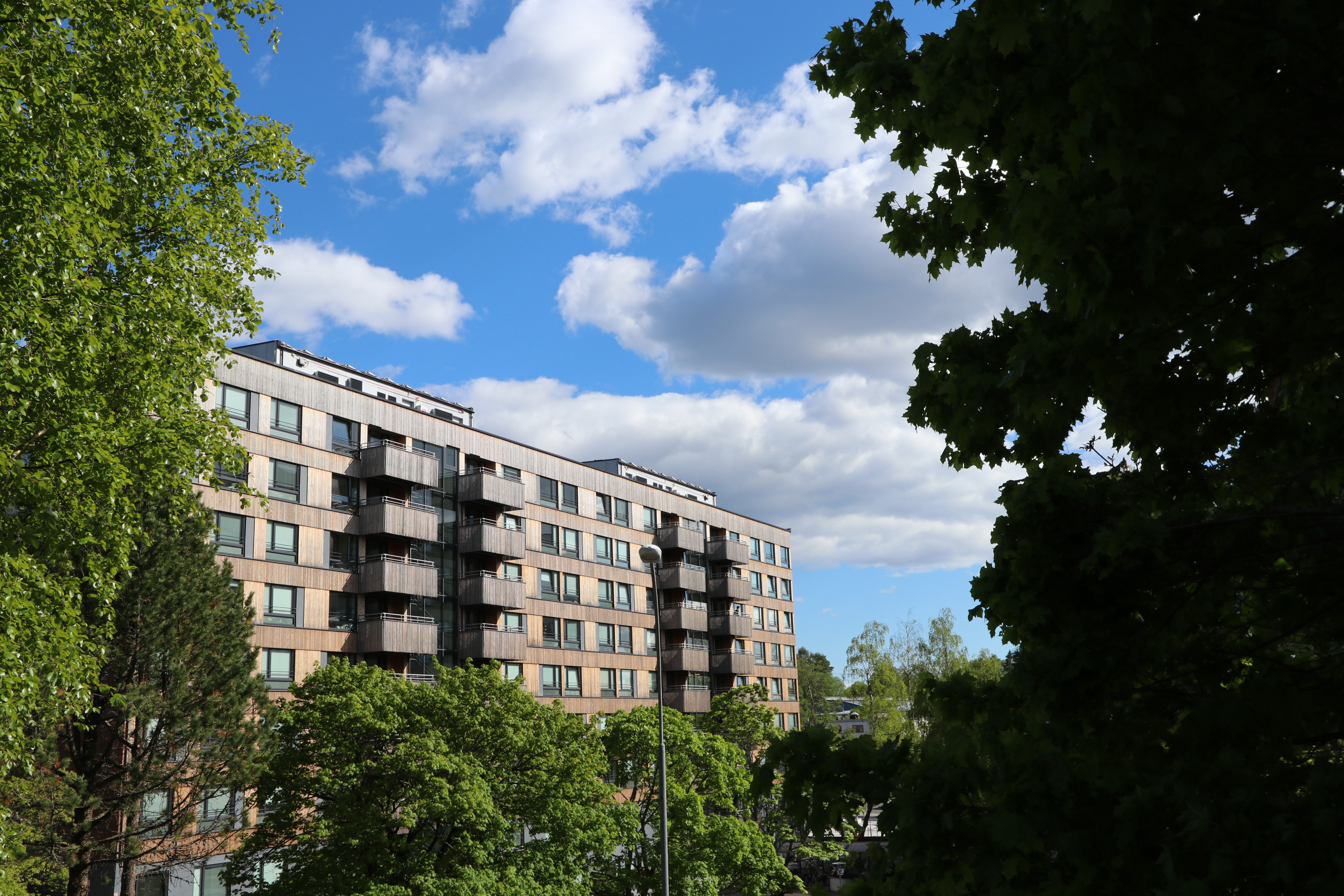 Et bilde av Kringsjå Studenthus. Bildet viser brune høyblokker. Noen av leilighetene har balkonger. I forgrunn av bildet er det flere trær. 