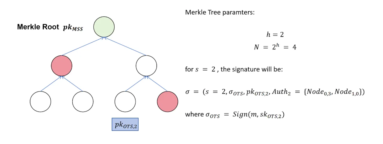 Merkle Root Parameters