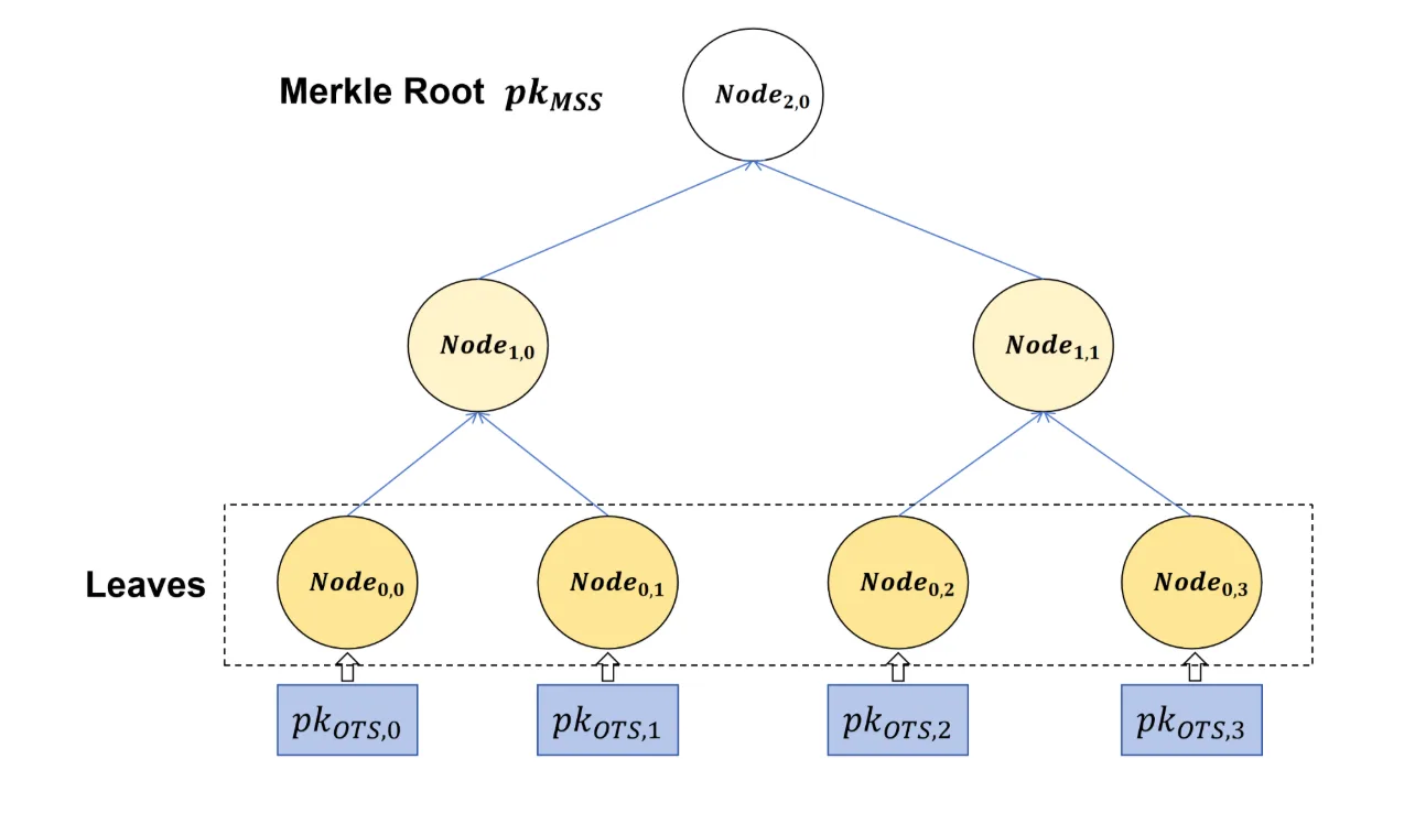 Merkle Root