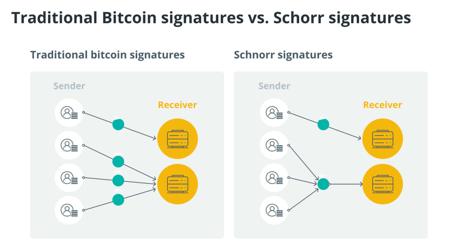 Comparative Visualization of Traditional Bitcoin Signatures and Schnorr Signatures