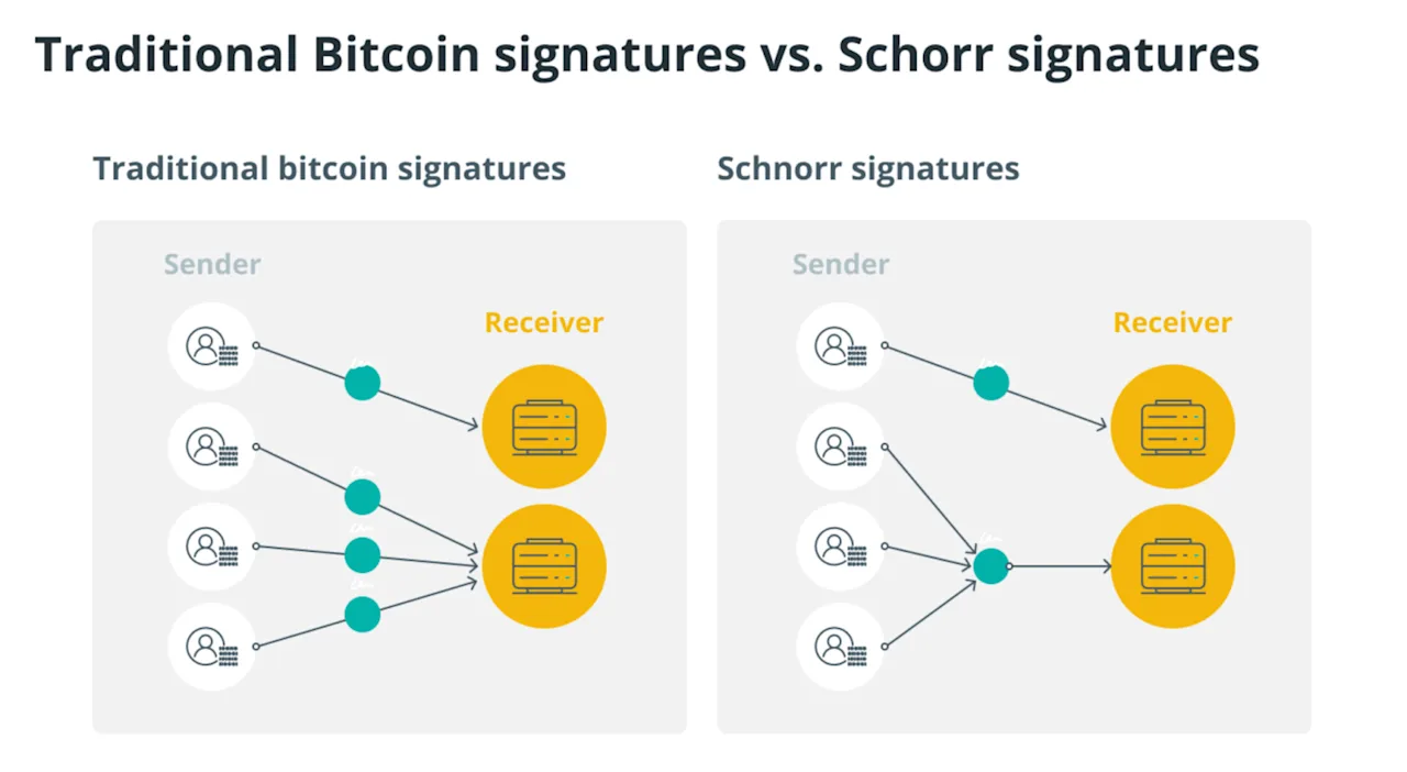 Comparative Visualization of Traditional Bitcoin Signatures and Schnorr Signatures