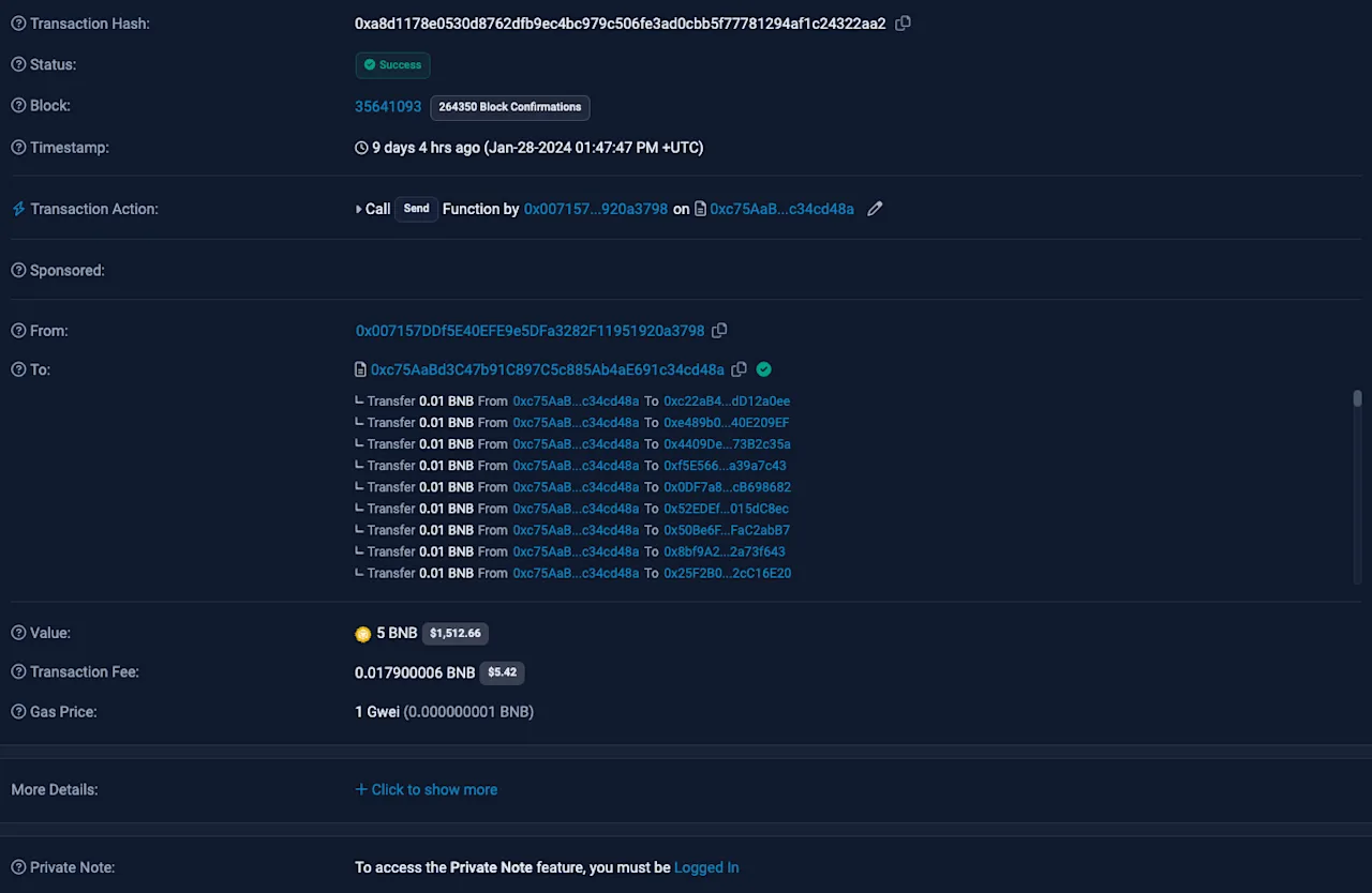 Detailed View of a BNB Transaction