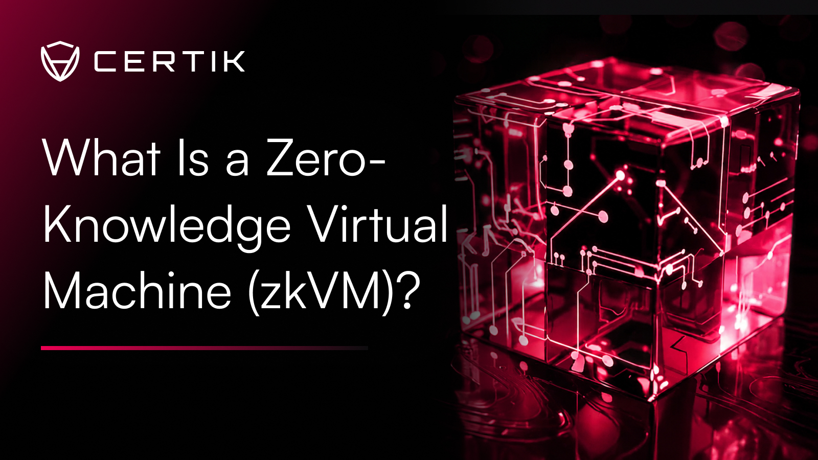 What Is a Zero-Knowledge Virtual Machine (zkVM)?