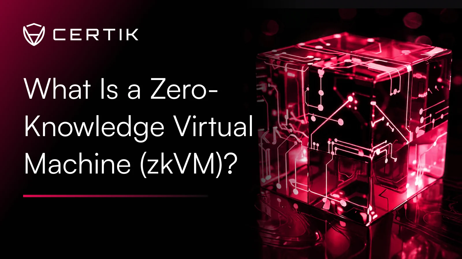 What Is a Zero-Knowledge Virtual Machine (zkVM)?