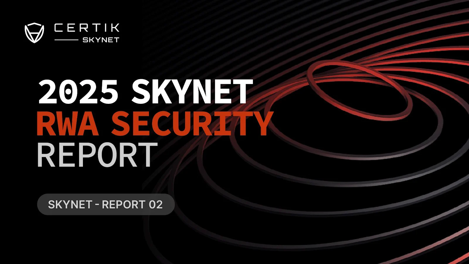2025 Skynet RWA 安全报告
