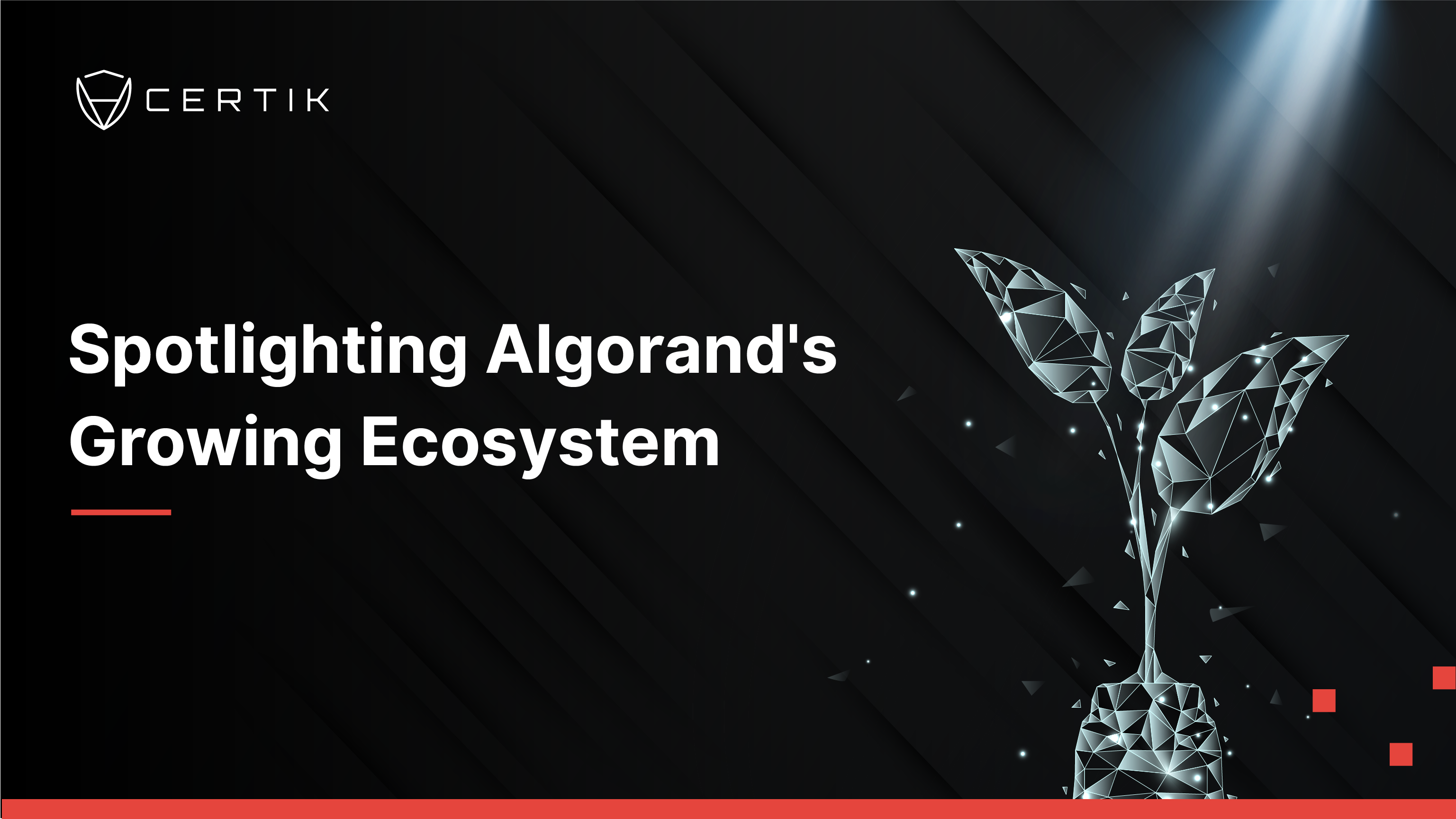 Spotlighting Algorand's Growing Ecosystem