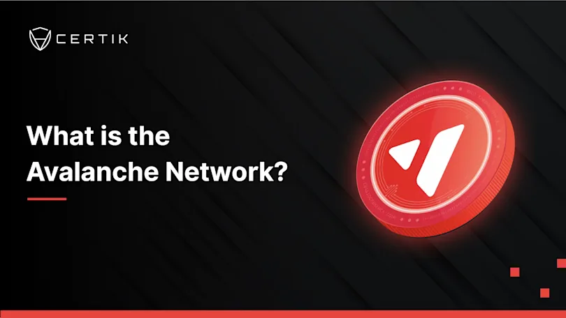 What is the Avalanche Network?
