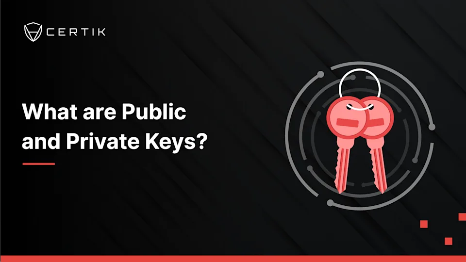 What are Public and Private Keys? - CertiK