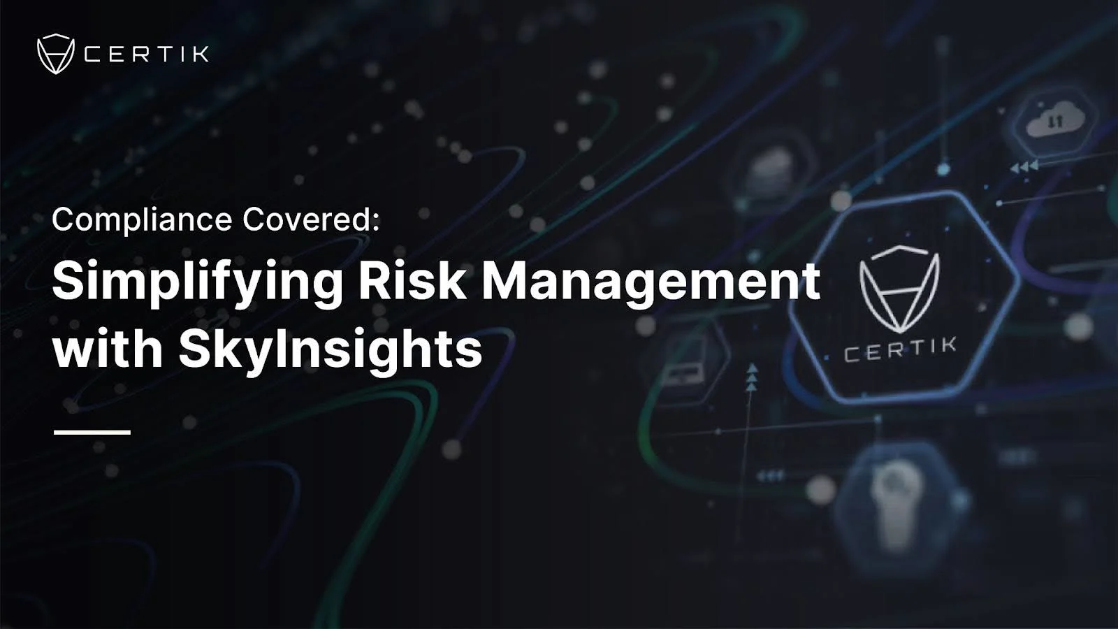 AML Risk Management with SkyInsights