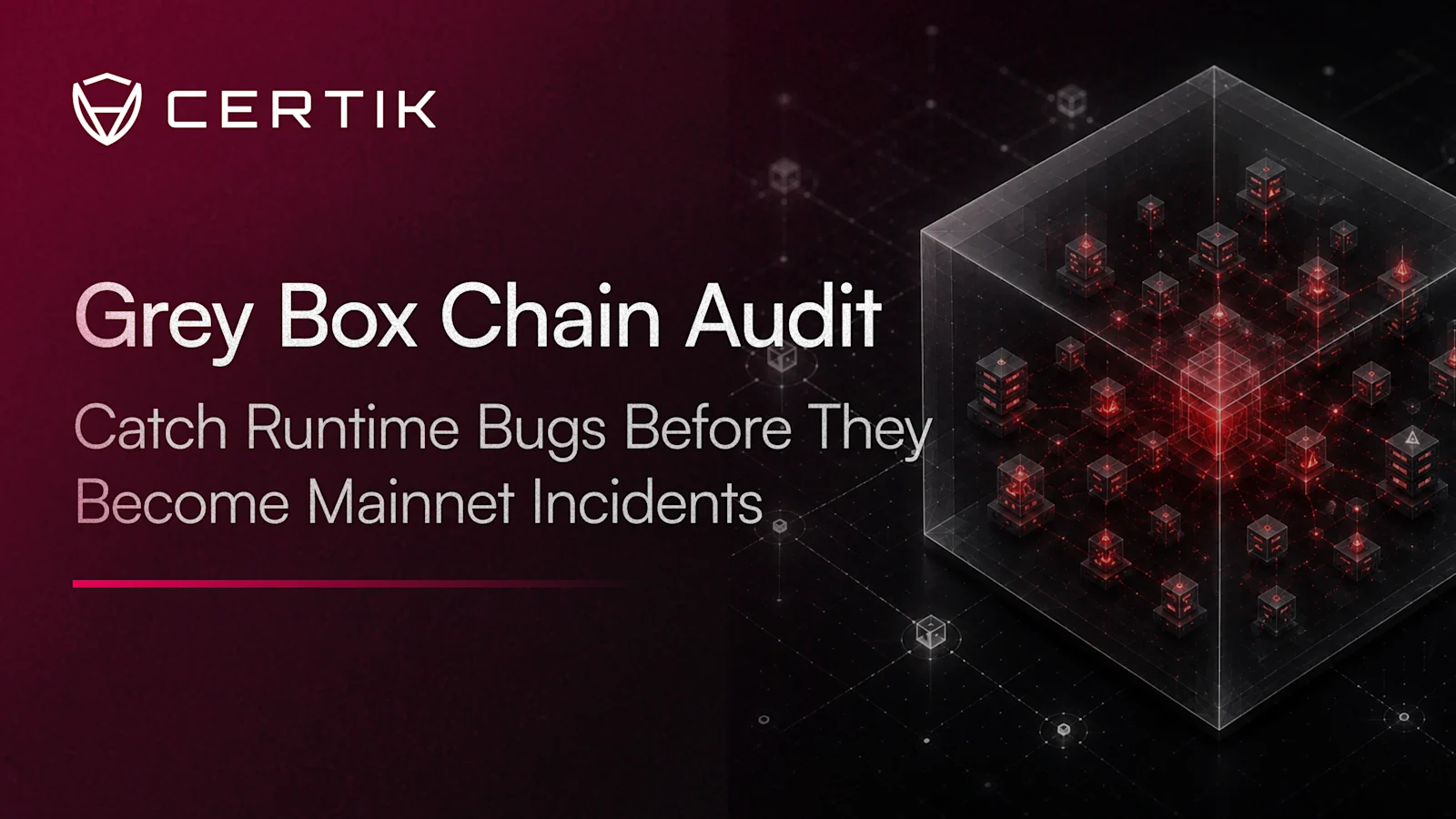 Catch Runtime Bugs Before They Become Mainnet Incidents: CertiK Grey Box Chain Audit