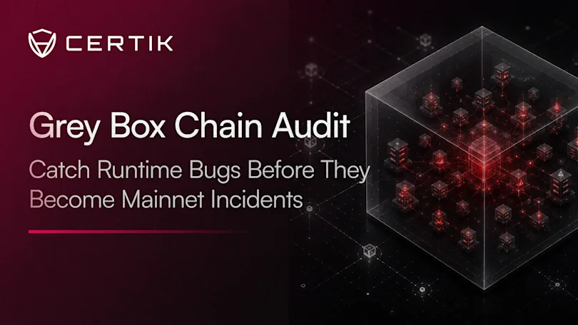 Catch Runtime Bugs Before They Become Mainnet Incidents: CertiK Grey Box Chain Audit