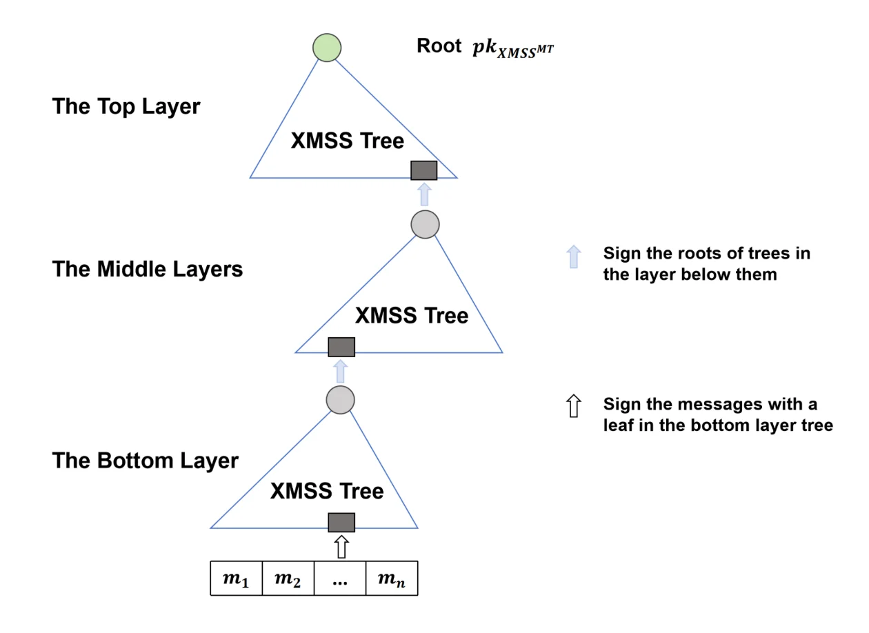 Root Layers