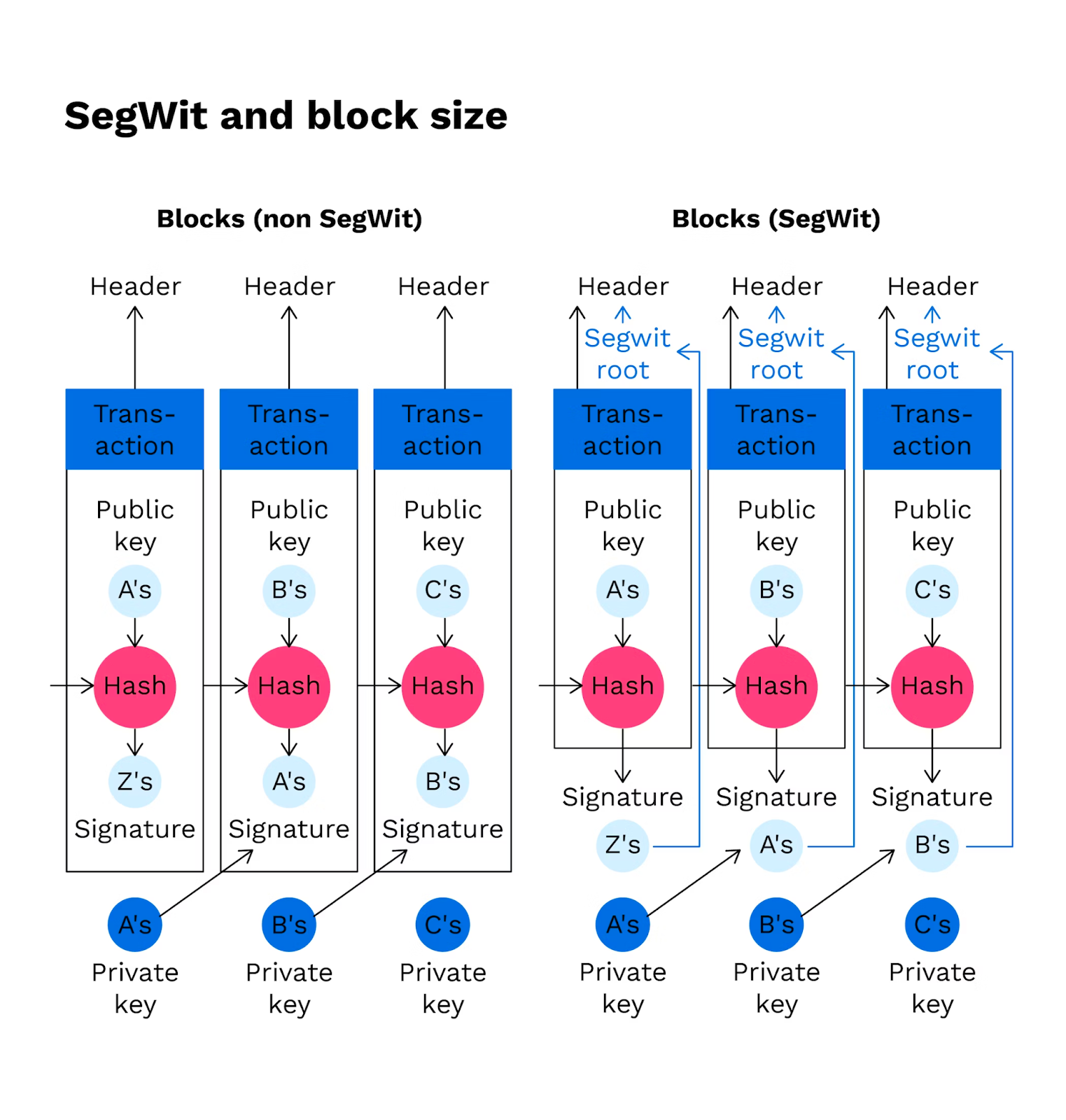 Comparison of Transaction Structures in Non-SegWit and SegWit Blocks