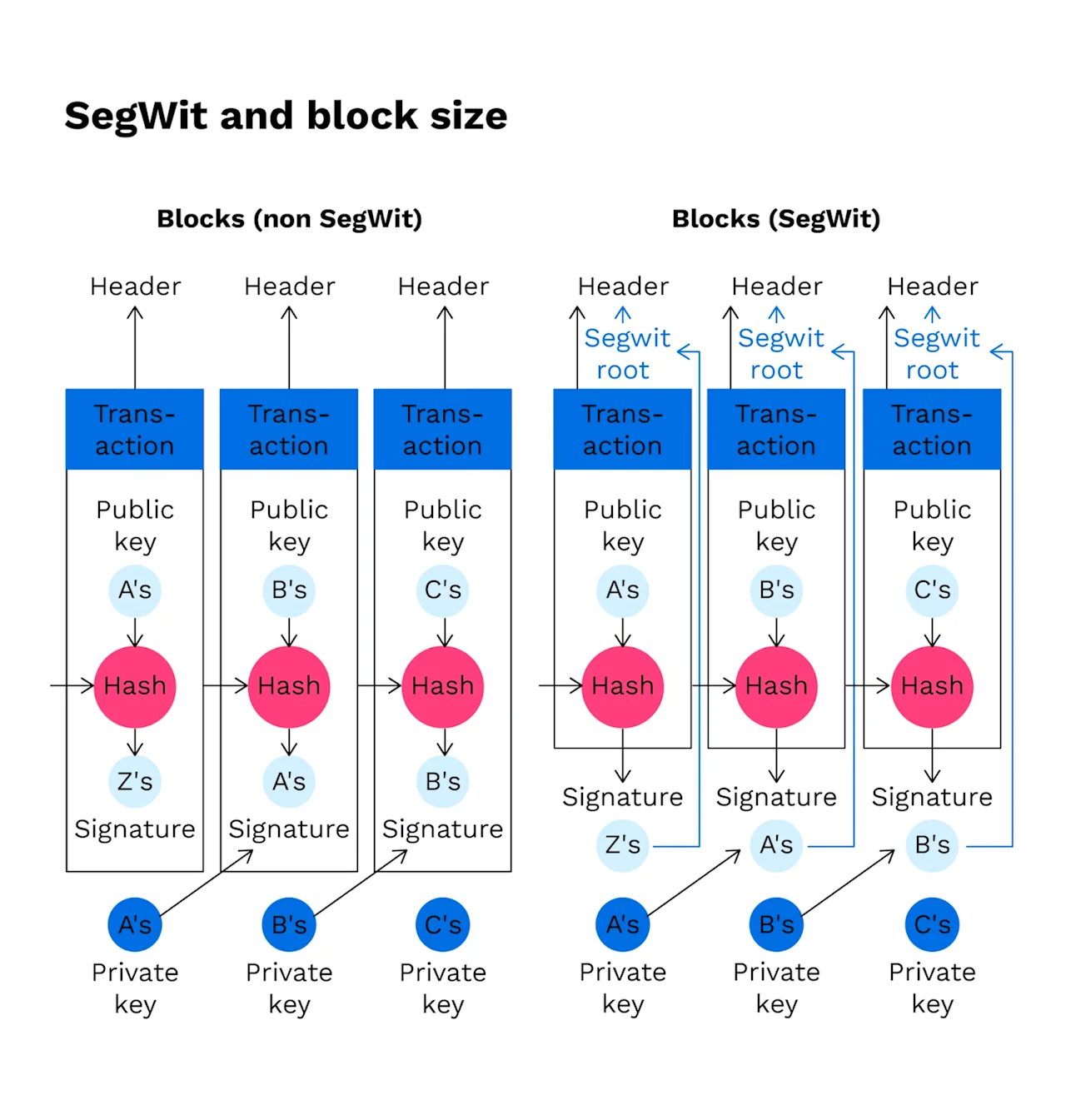 Comparison of Transaction Structures in Non-SegWit and SegWit Blocks