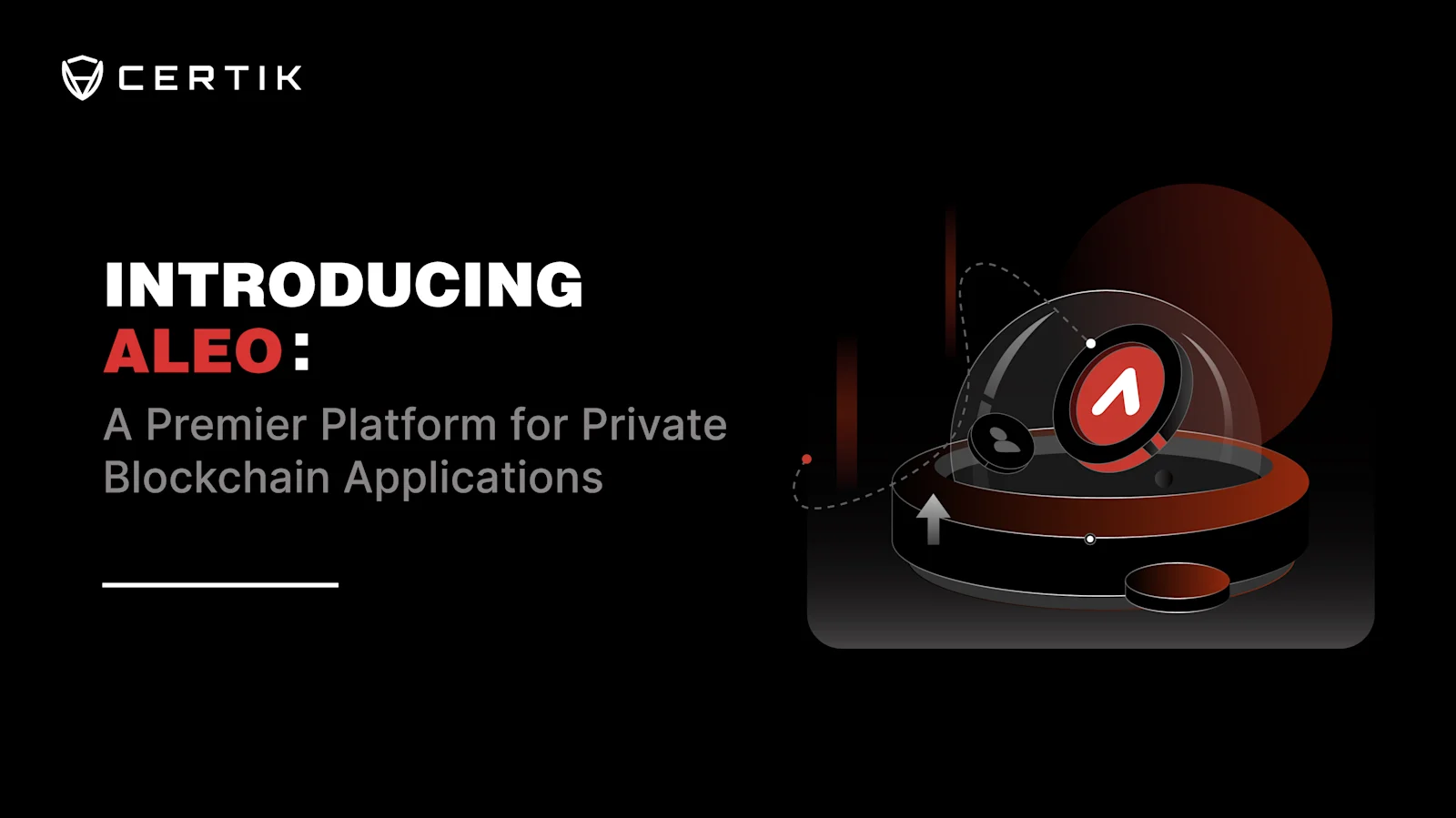 Introducing Aleo: A Premier Platform for Private Blockchain Applications