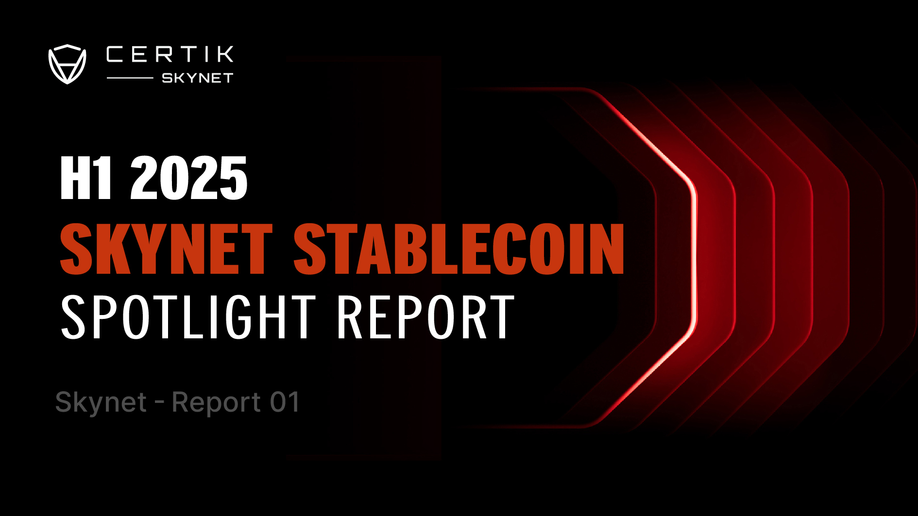 skynet-stablecoin-spotlight-report-h1-2025