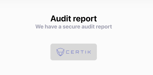 fake audit report
