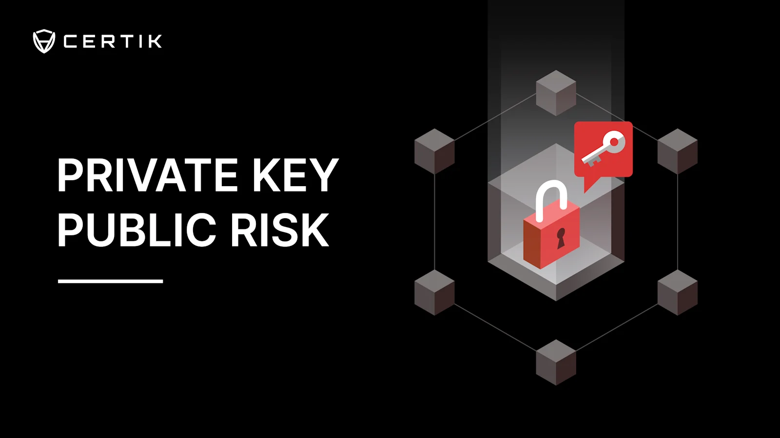 Private Key, Public Risk