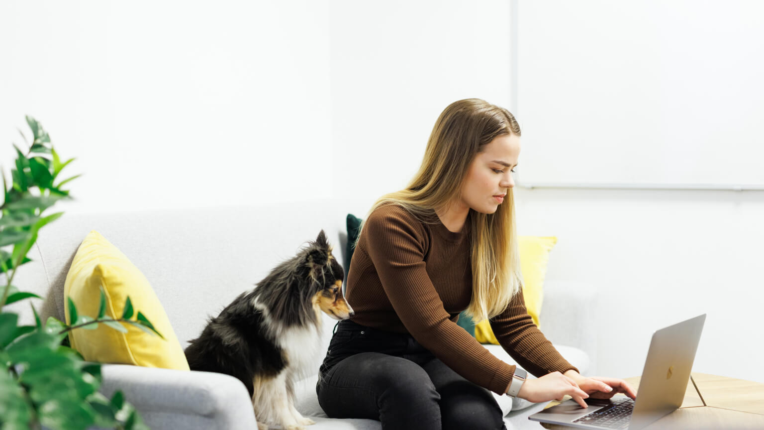 woman working from laptop