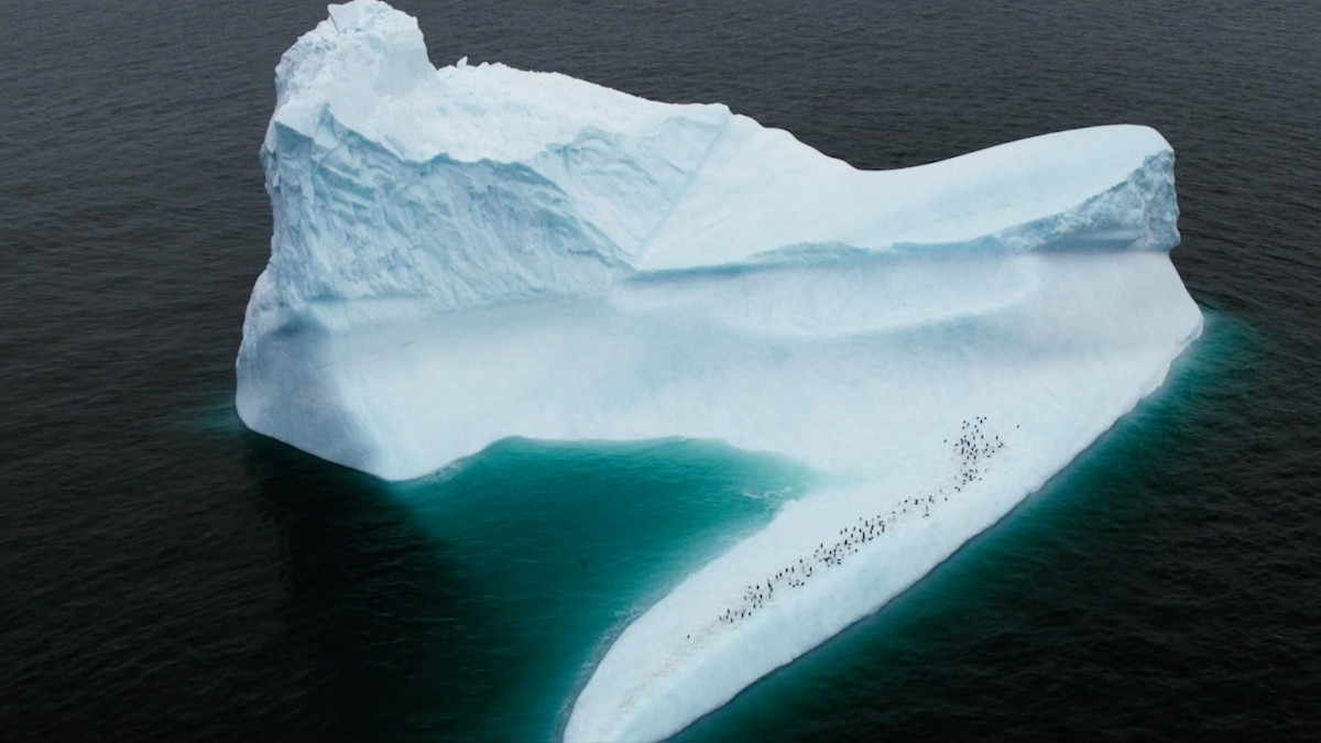 A Delicate Balance