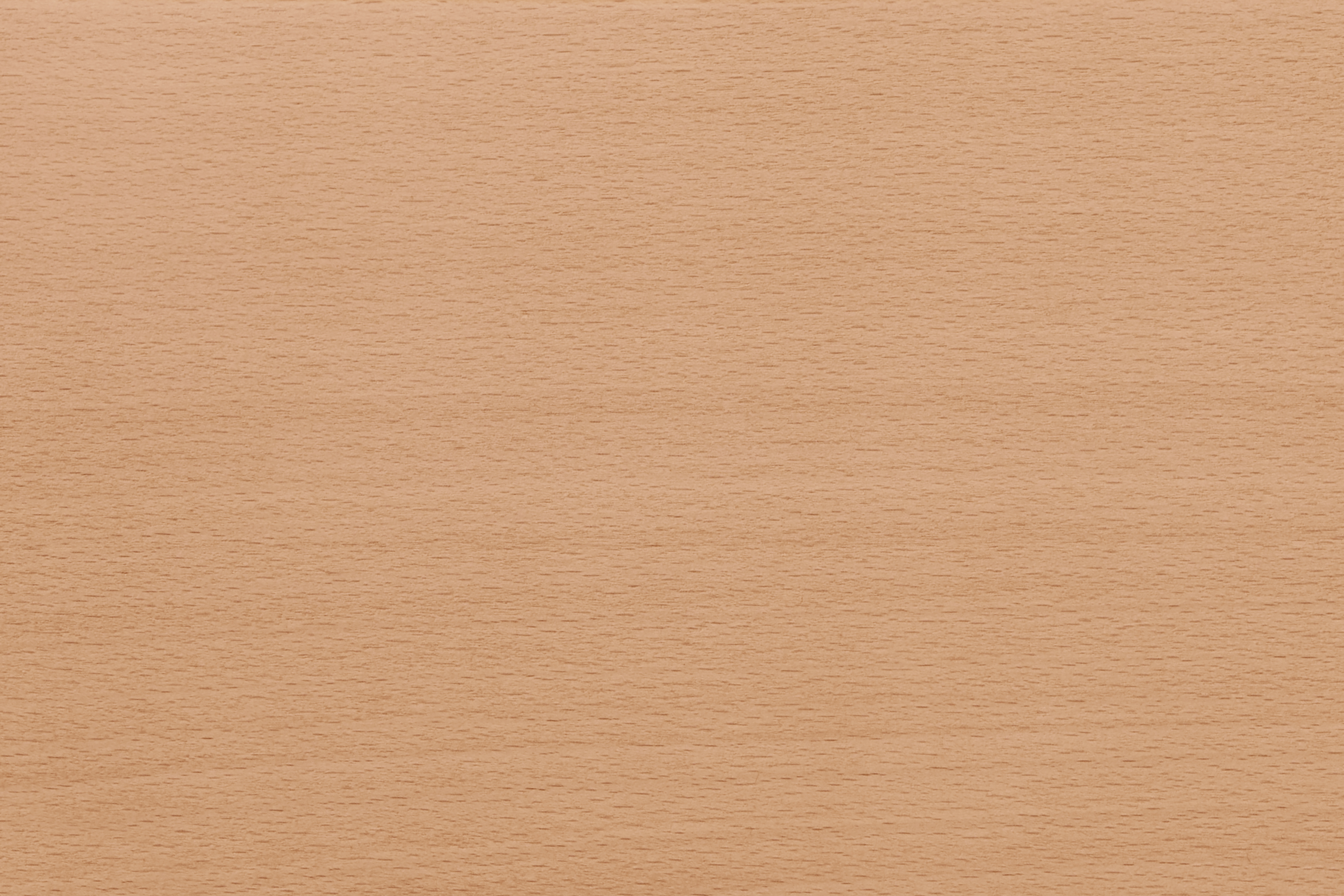 Bullnose Chair, Natural / Swan Seat Pad UK, Art. no. 31680 (image 8)