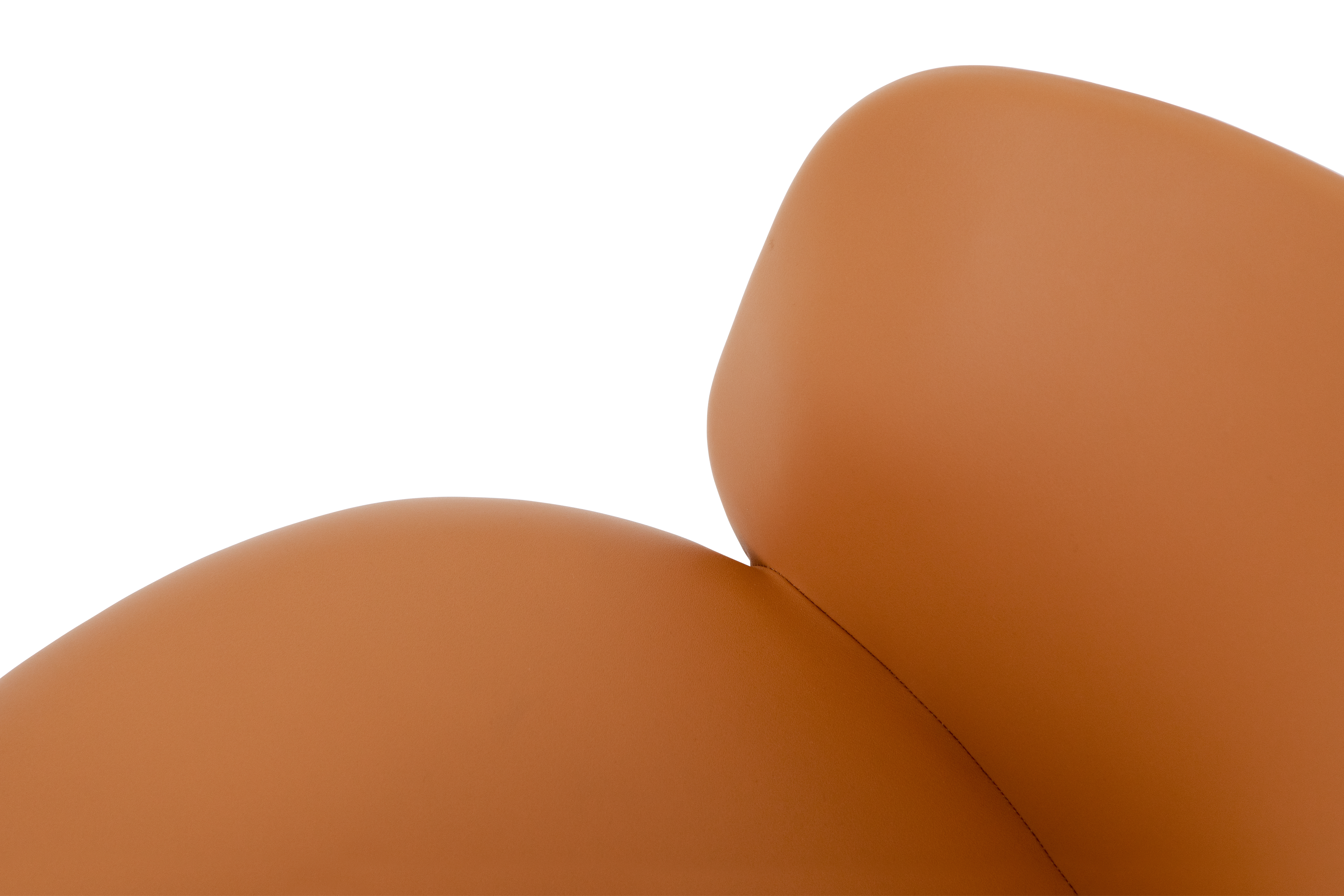 Kendo Swivel Chair 5-star Castors, Cognac Leather / Black, Art. no. 20246 (image 5)