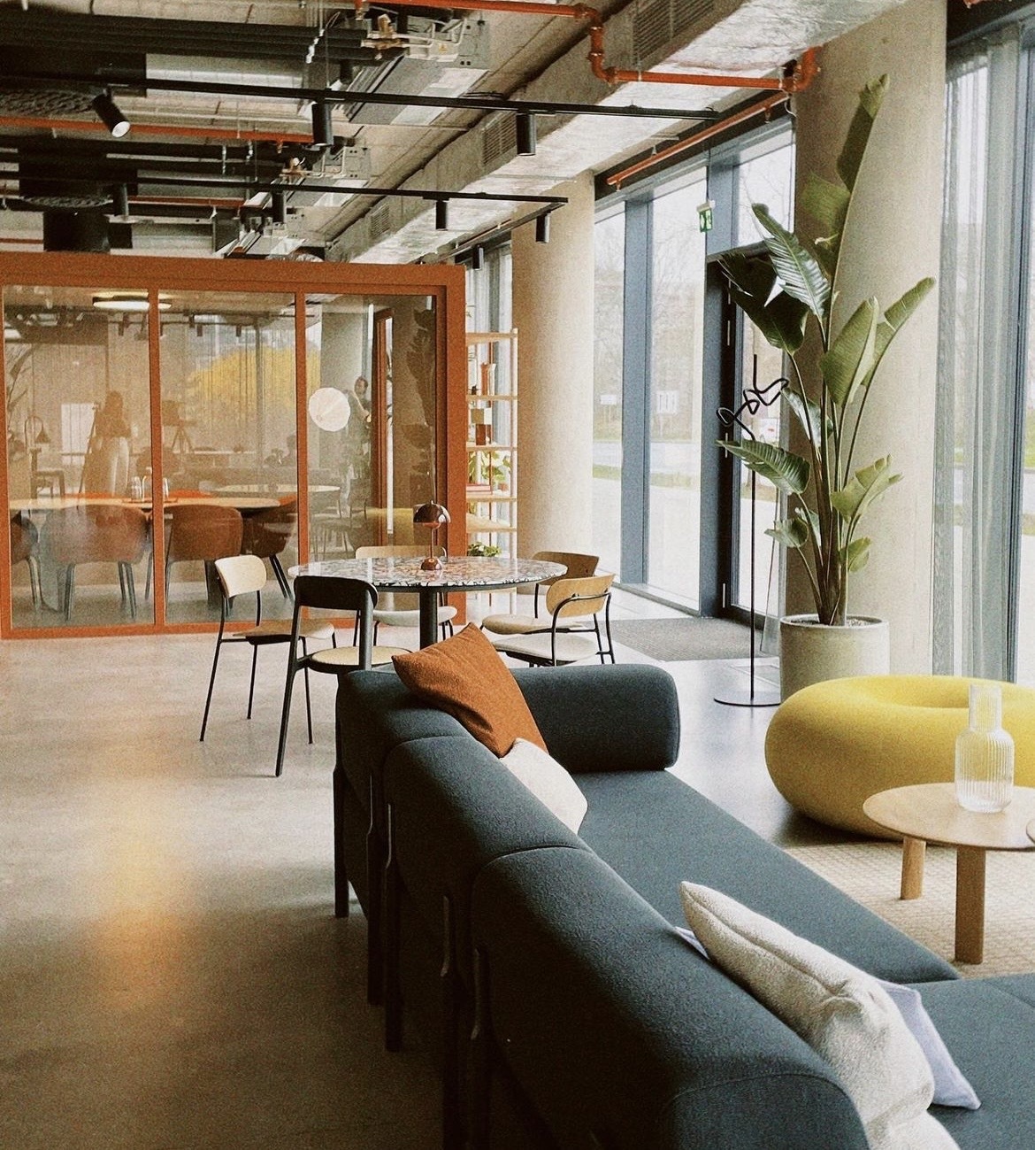 Shared by @barb_babo