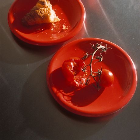 Bronto Plate (Set of 2), Orange