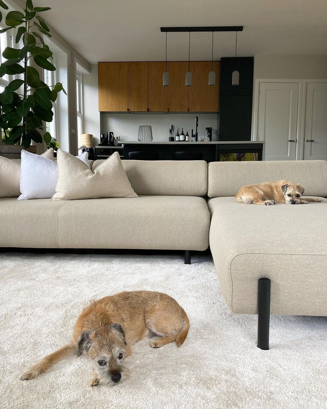 Shared by @azzurri_and_harana