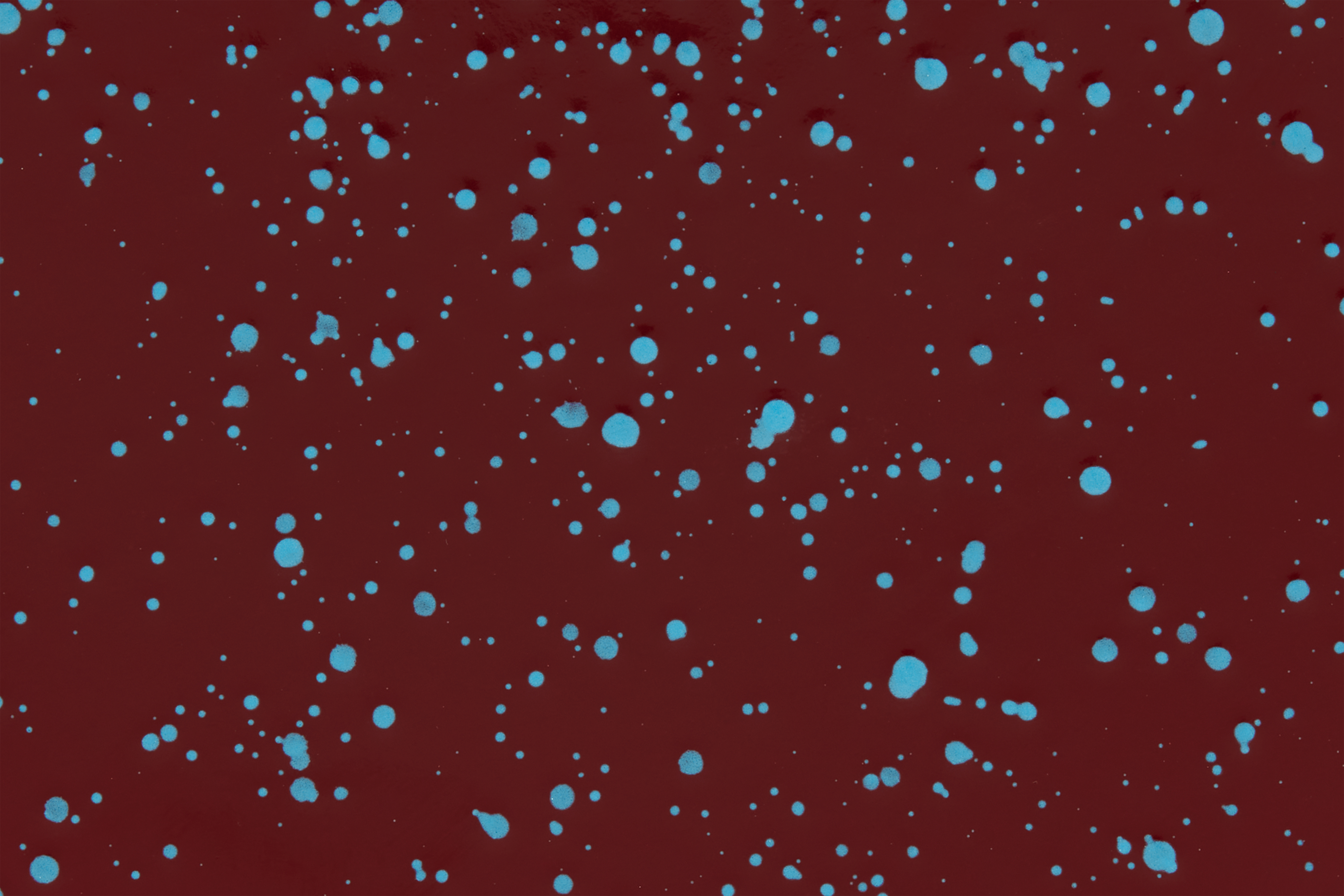 Last Stool, Burgundy / Sky Blue Splatter, Art. no. 31062 (image 4)