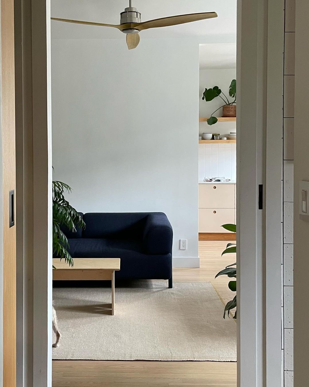 Shared by @michael.dechillo