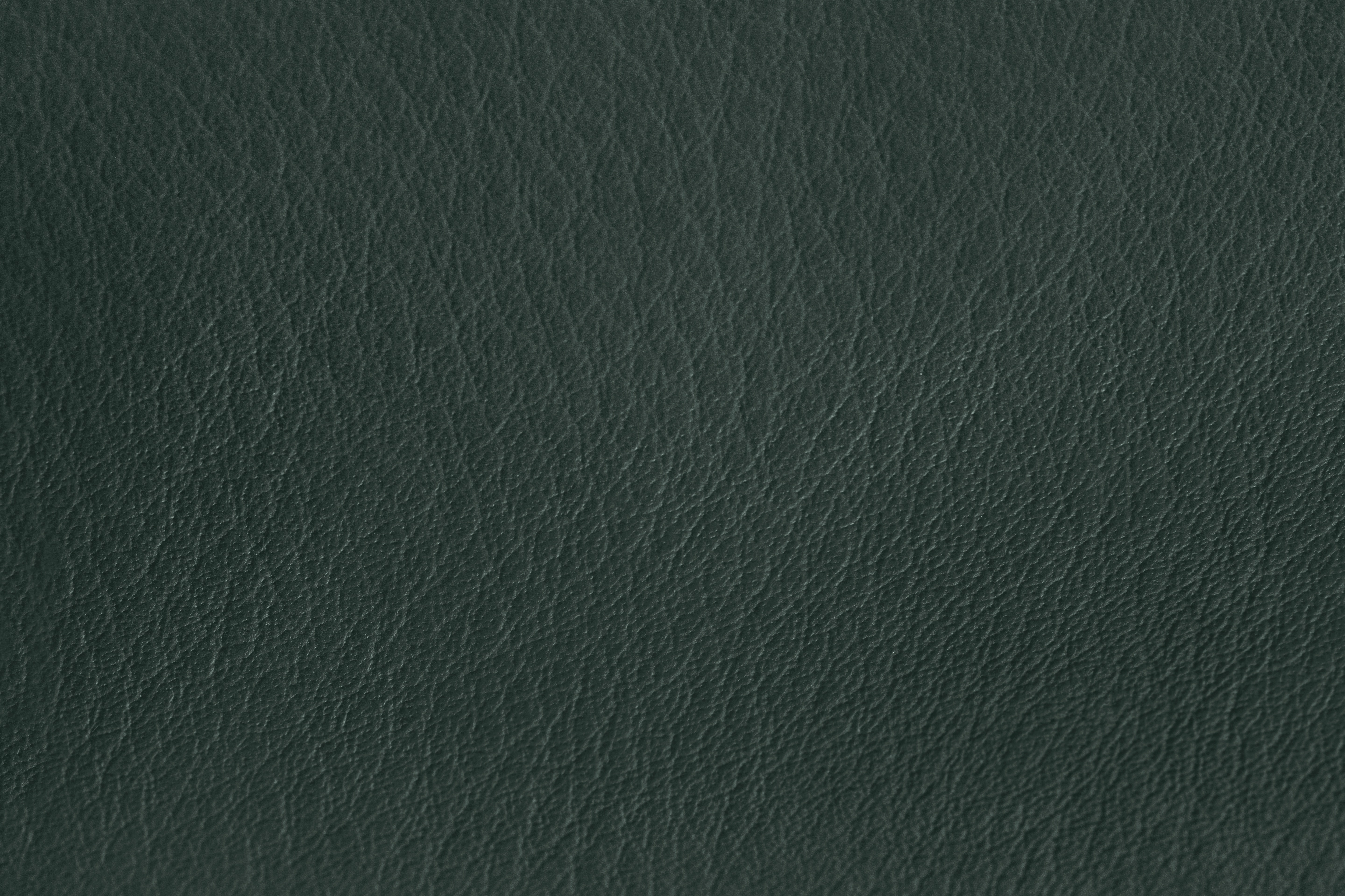 Puffy Lounge Chair, Dark Green Leather / Stainless — Hem